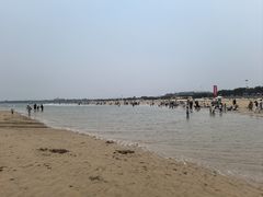 -日照海滨国家森林公园