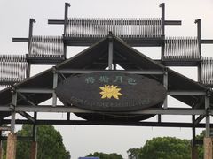 -荷塘月色湿地公园·向阳花洲
