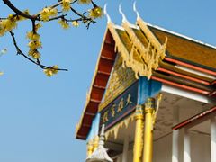 -报恩禅寺