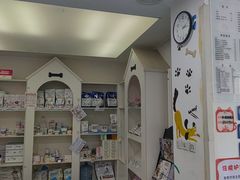 -特一安24小时宠物医院·骨科·中兽医