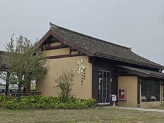 -杭州湾海上花田景区