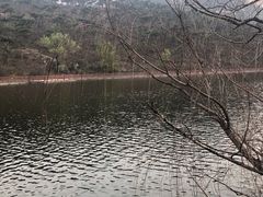 -徂徕山森林康养度假谷温泉