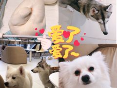 -怪兽屋·羊驼·猫咖·狗咖(俊华广场店)