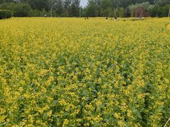 -长春公园(普阳街道)