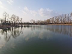 -东郊湿地公园