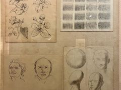 -土山湾博物馆