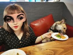 -百好乐宠物友好餐厅(朝外大街店)