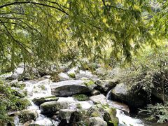 -龙窝子