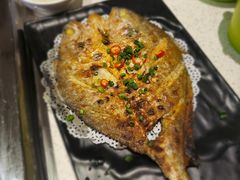 -九府羊·鲜羊火锅·烤串(新华路店)