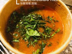 -油梨树AVOCADO TREE(嘉里中心店)