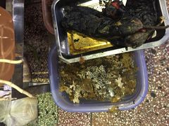 -白家寨子·山野白族菜(古城总店)