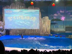 -华夏文旅海洋公园