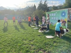 -趣玩宠物乐园寄养训犬训狗游泳池