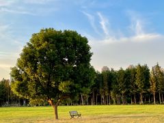 -山明水秀大饭店