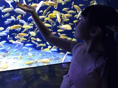 -成都浩海立方海洋公园