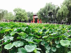 -四川大学(望江校区)