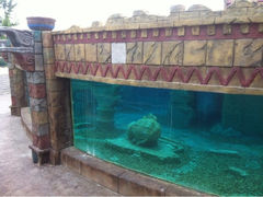 iphone_upload_pic-上海玛雅海滩水公园