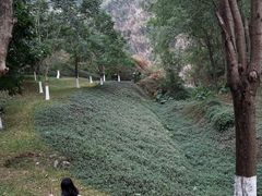 -火炉山森林公园