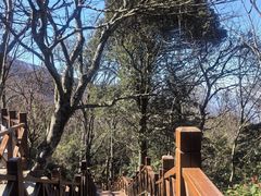 -萍乡武功山风景名胜区