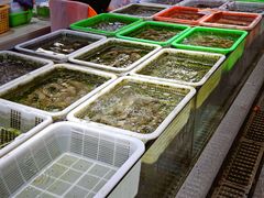 -先锋海鲜市场