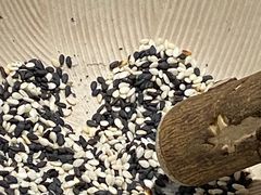 芝麻-胜博殿日式炸猪排(西红门店)