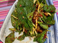 -香巴拉云南餐厅(华莱坞店)