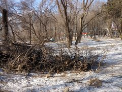 -长春市南湖公园