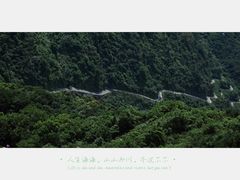 -阳台山森林公园