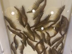 -喝丢一只鞋海鲜烧烤(市场店)