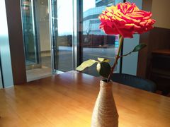 -新贝乐意大利餐厅(苏州中心店)