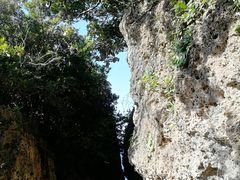 -鹅銮鼻公园