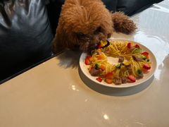 -百好乐宠物友好餐厅(朝外大街店)