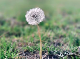 #春天的故事#用美食唤醒春天的味蕾#捕捉春天的气息#