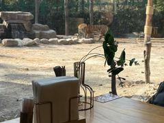 -上海野生动物园老虎餐厅