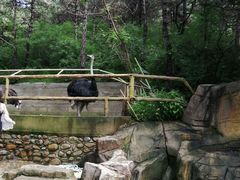 -燕塞湖鸟语林景区