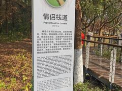 -昆山城市生态森林公园