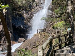 -姑婆山旅游区