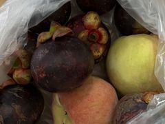 -五里多农博广场