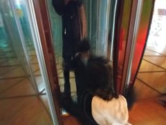 -朝阳公园游乐园