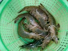 鲜虾-濠轩阁特色生蚝火锅(水湾路店)