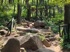 -鲁山国家森林公园