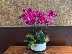 -蛇口希尔顿南海酒店·随轩中餐厅·粤菜