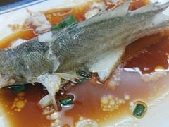 -鑫鸿达·海鲜闽菜热炒小馆(中山路店)