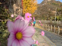 -黑龙潭风景区