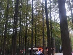 -日照世帆赛基地