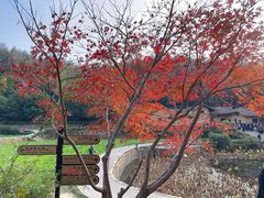 -韶山毛泽东同志故居