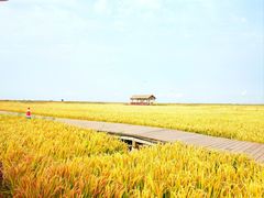 -红海滩国家风景廊道