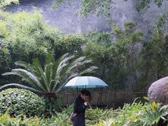 -乌山风景区