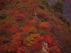 -秦岭风景区