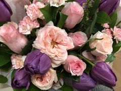 -植物学家的女儿(北马道巷店)